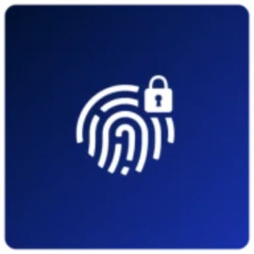 Copyright Protection - DMCA