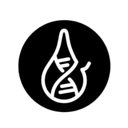Plastic-free water bottle