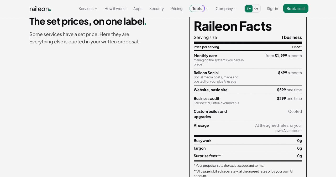 The "Raileon Facts" price label on its pricing page, listing monthly care from $1,999 a month, Raileon Social at $699 a month, a basic website at $599 one time and the business audit at $299 until November 30
